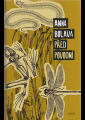 Bolavá, Anna - Před povodní