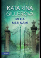 Gillerová, Katarína - Mlha mezi námi